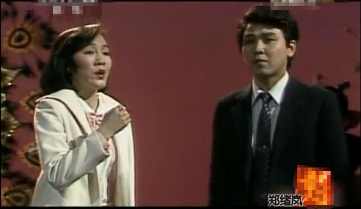 郑绪岚成名作北京卫视,郑绪岚如今有工作吗