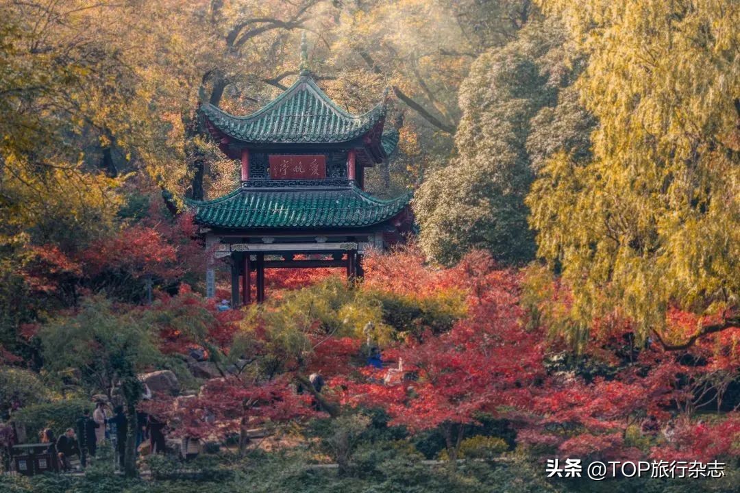 岳麓山赏红叶攻略,岳麓区徒步爬山推荐