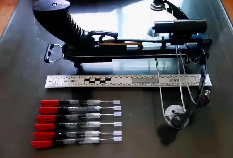 偷狗贼用毒针射杀的狗能活吗,偷狗的毒针到底有多毒