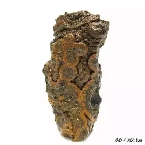 难得一见的仙鹤假奇石,这些难得一见的奇石美醉了