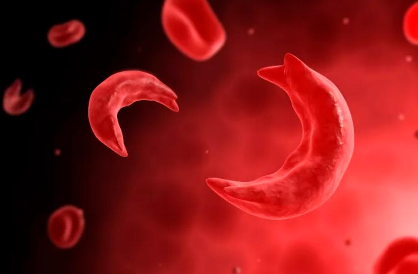 睡前喝牛奶弊端是什么,喝牛奶加鸡蛋等于服毒吗