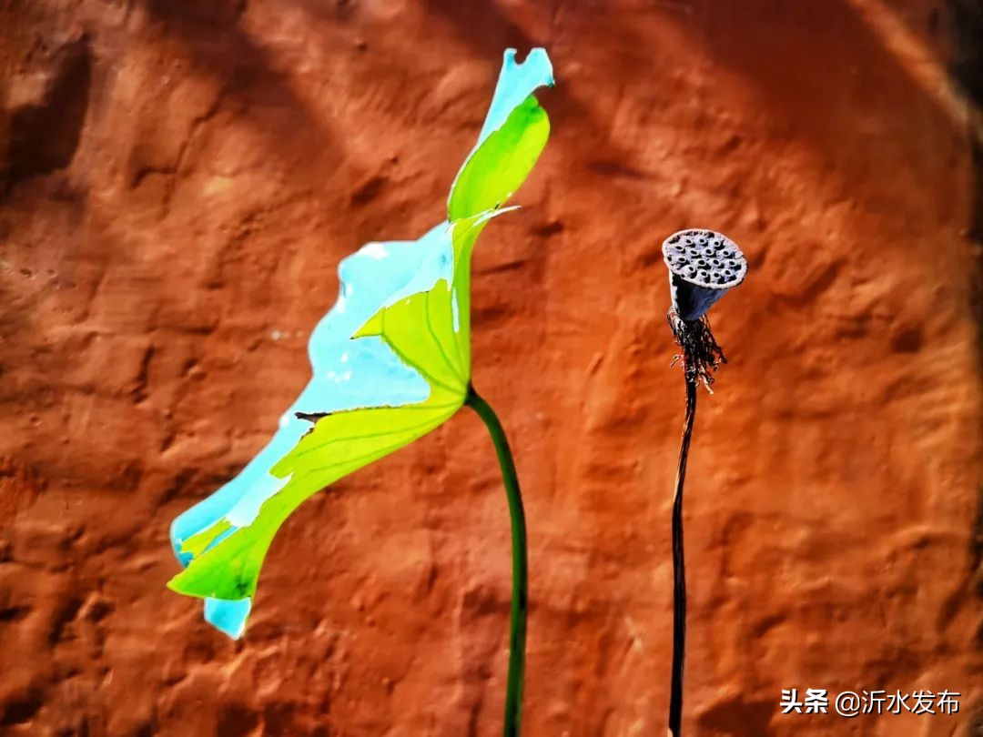 中国传统十二个月的别称,十二个月份的古代雅称