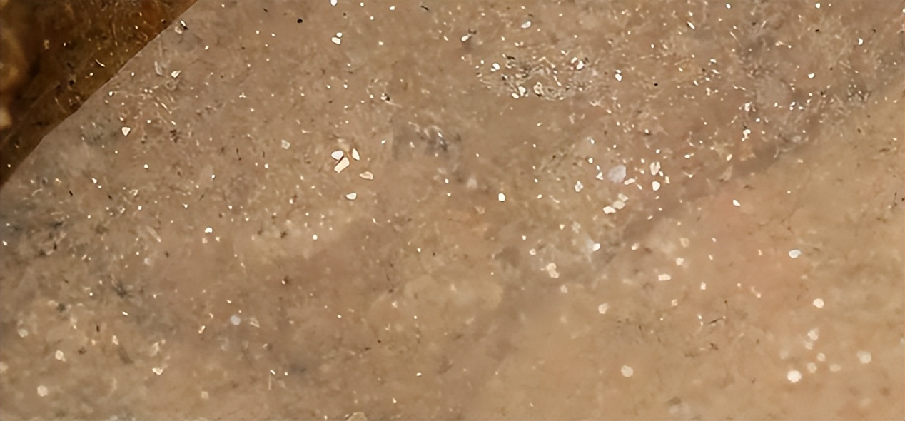 福建海边出现神秘金片，遭渔民哄抢一空，专家调查后：金片不简单