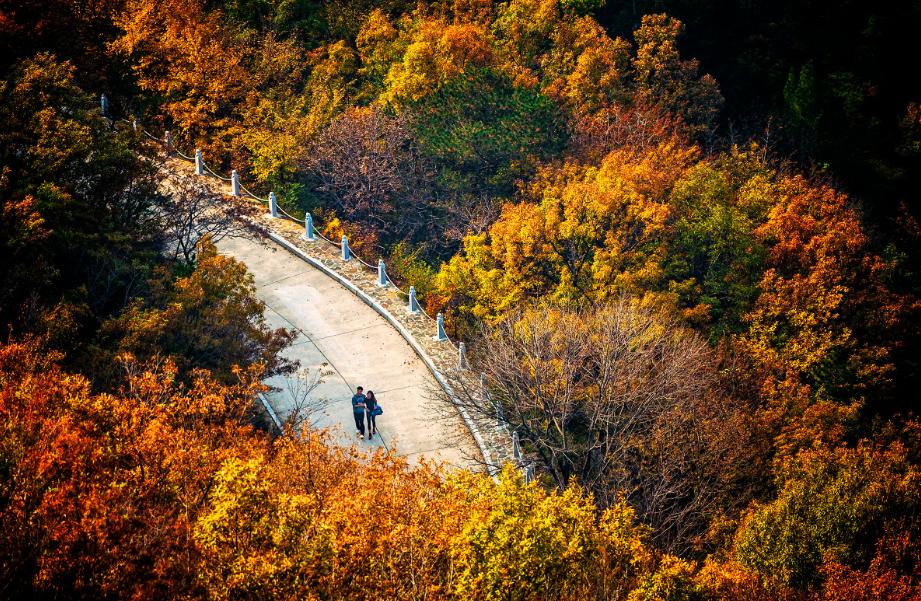 李阳鸣诗词100首,李阳民