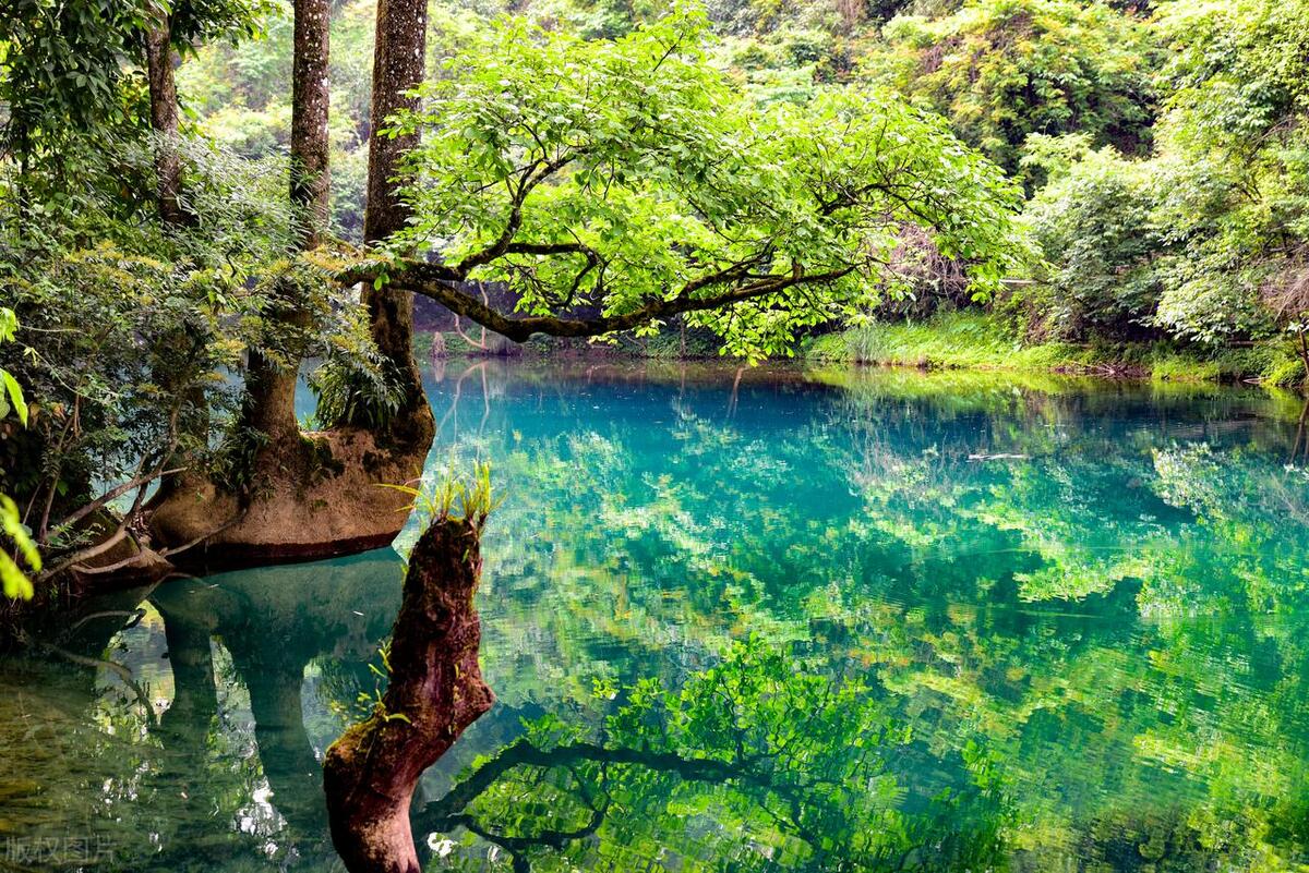 贵州旅游攻略最全,贵州旅游攻略有啥优惠的吗