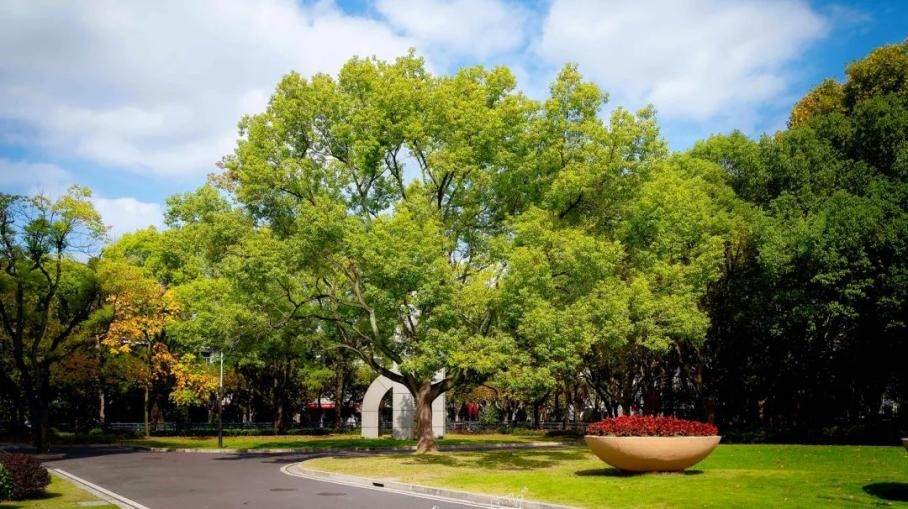 实力瞩目！这一“国家级”认定名单中，华东理工大学40次获评一流！