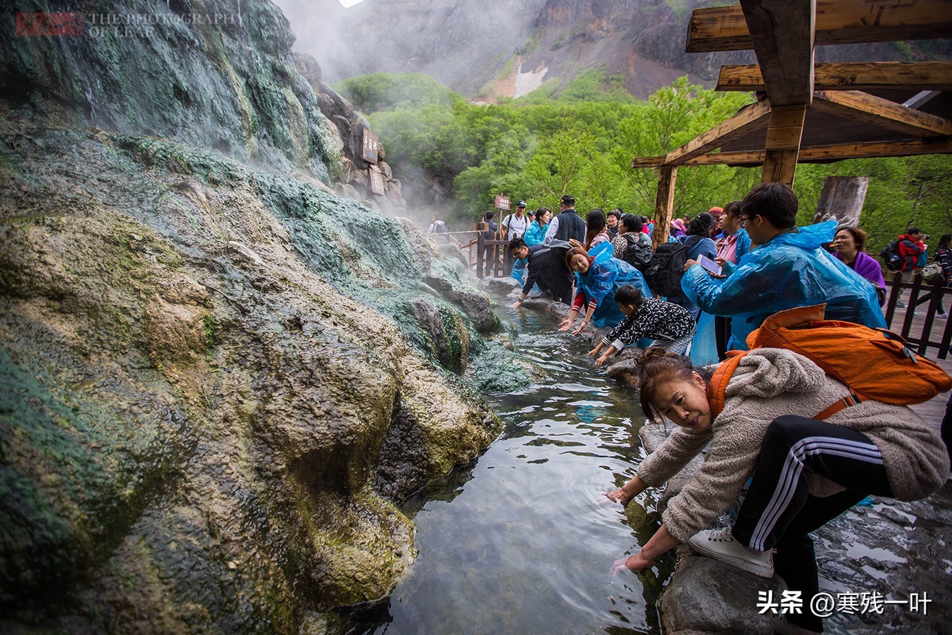 长白山网红小吃温泉鸡蛋，10元3个游客抢着买，一天卖出5000个