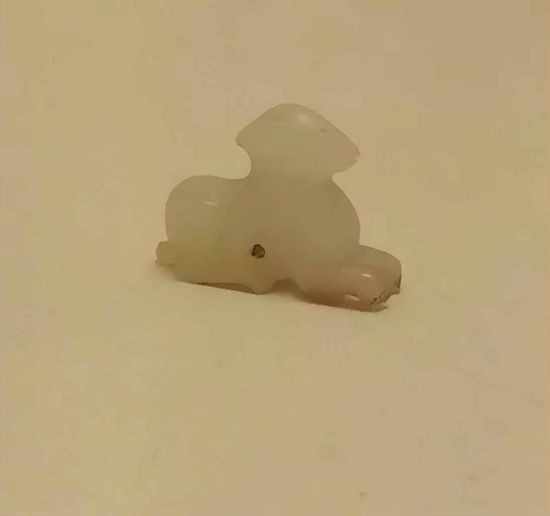 道中华|中国人的精神世界里，总有一只兔子相伴