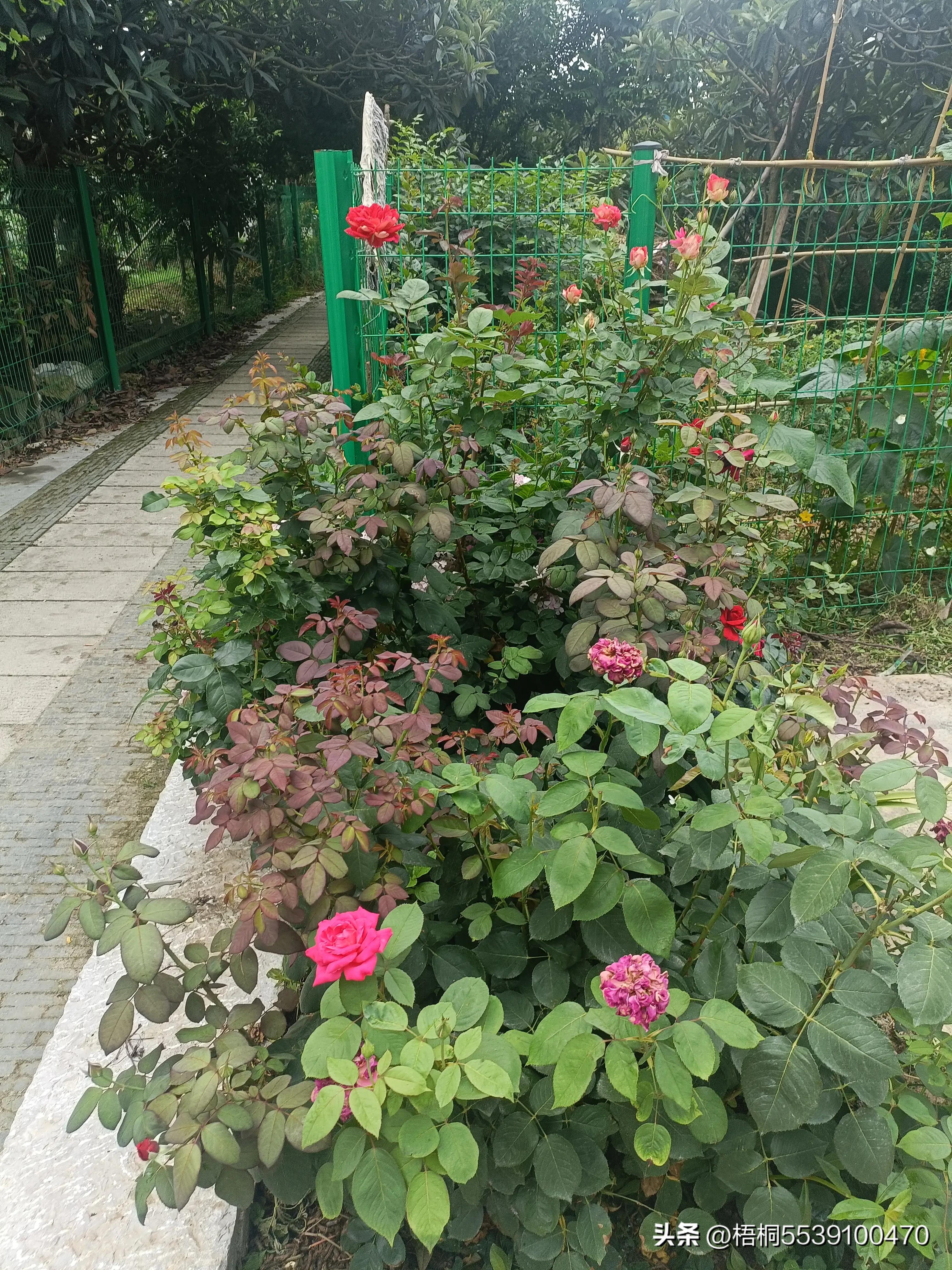 苏州洞庭西山有什么好玩的,苏州太湖东山还是西山好玩