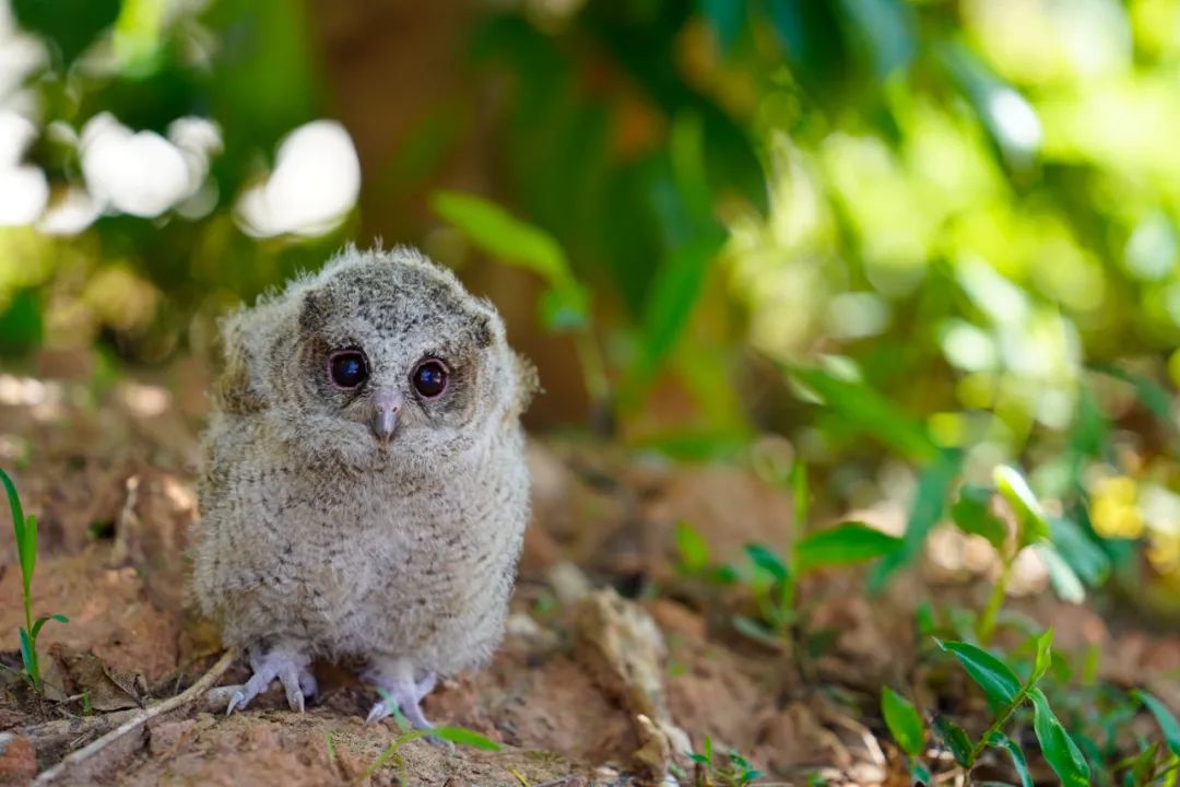 昆明七彩云南怎么样,七彩云南避暑家园