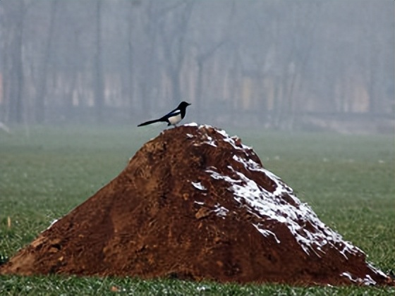 【“典”滴生活】祖坟被平！协商无果后诉至法院法院怎么判？