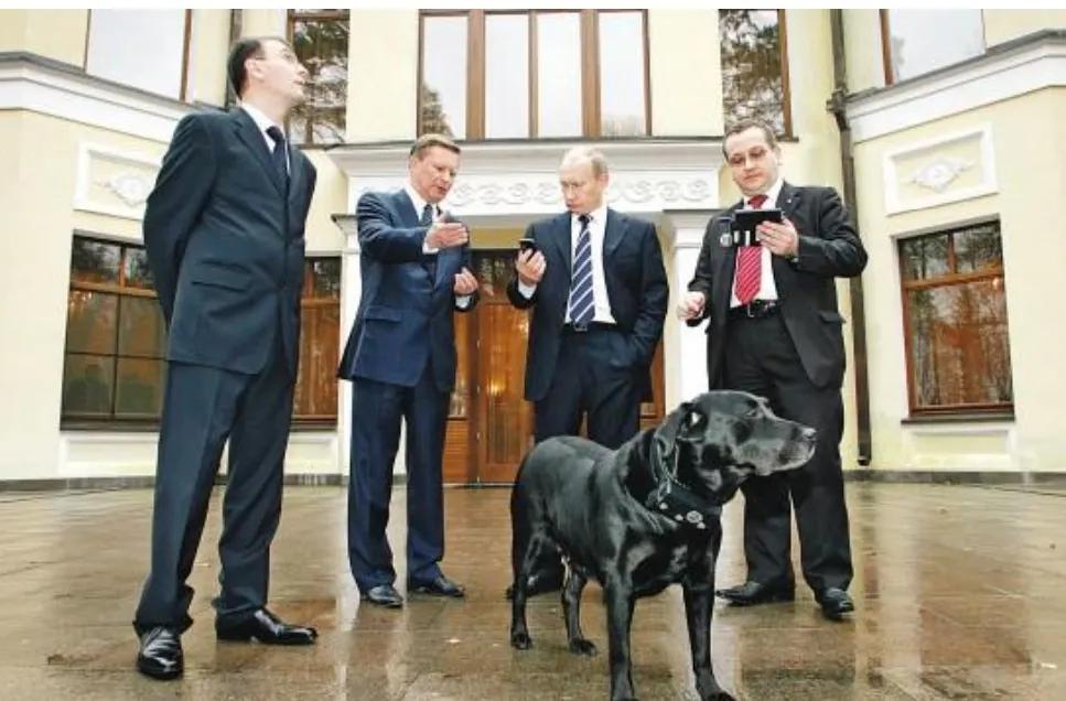 普京到底有多喜欢狗,普京为啥这么多人喜欢他