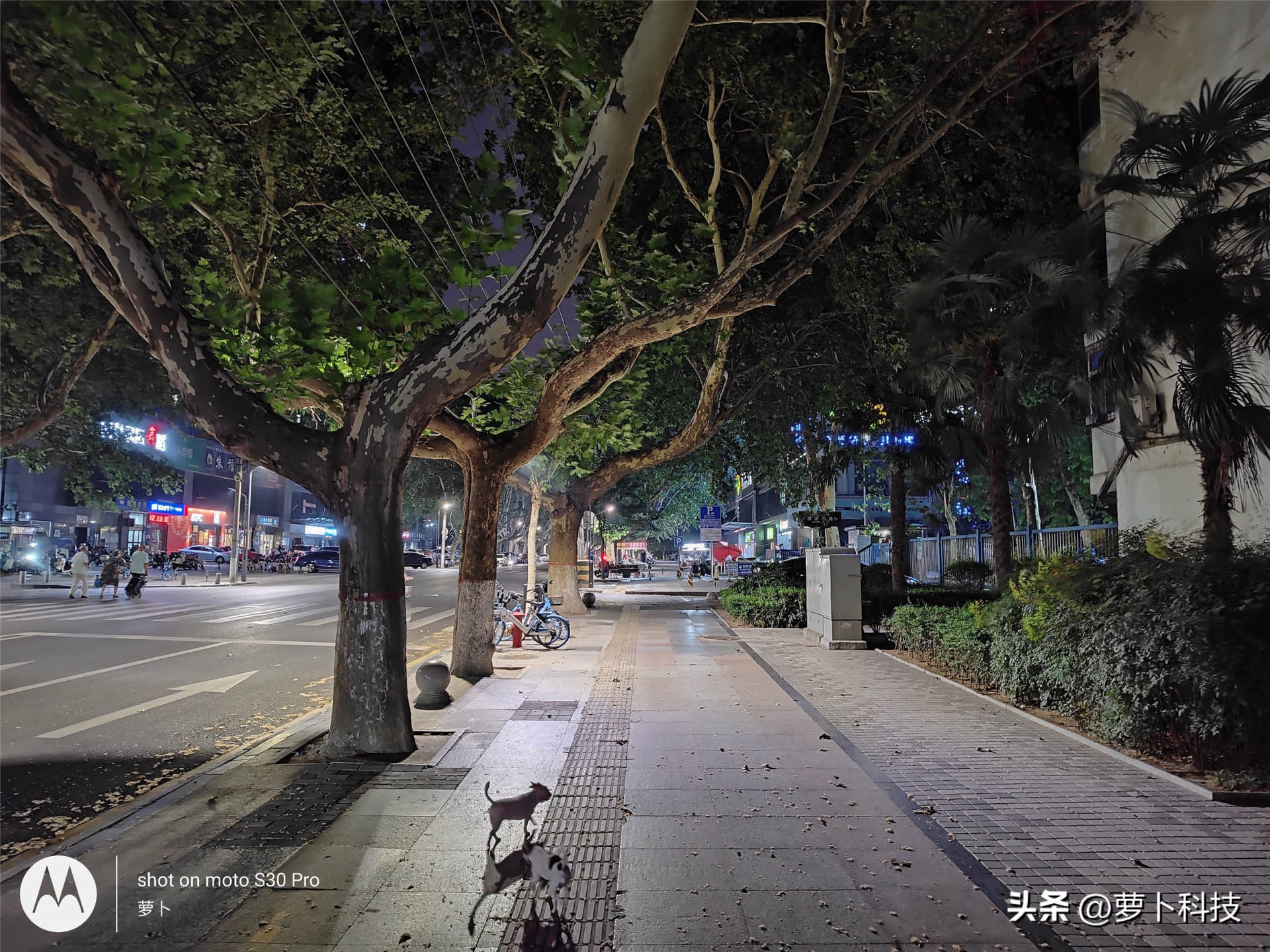 motos30pro灏忕櫧璇勬祴,motos30pro鍏ㄩ潰娴嬭瘎