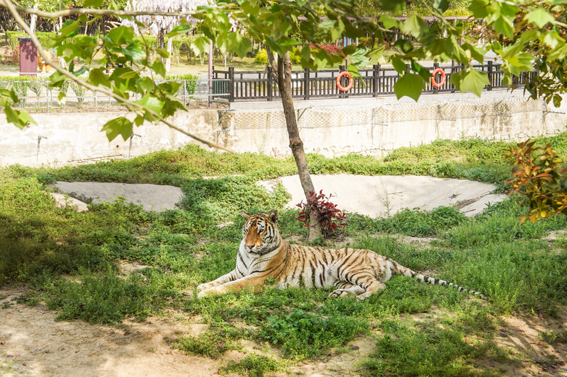 宿州两日游,安徽宿州一日游推荐