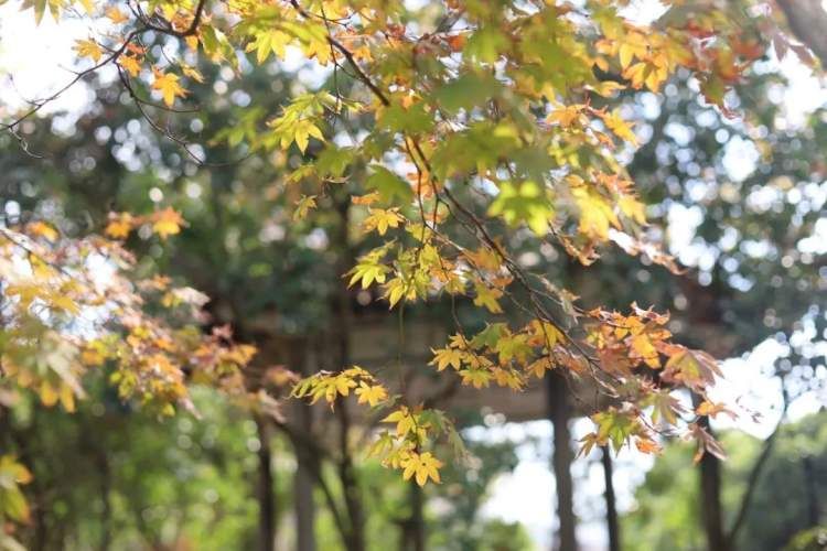 最值得打卡的动物园,国庆必打卡动物园推荐