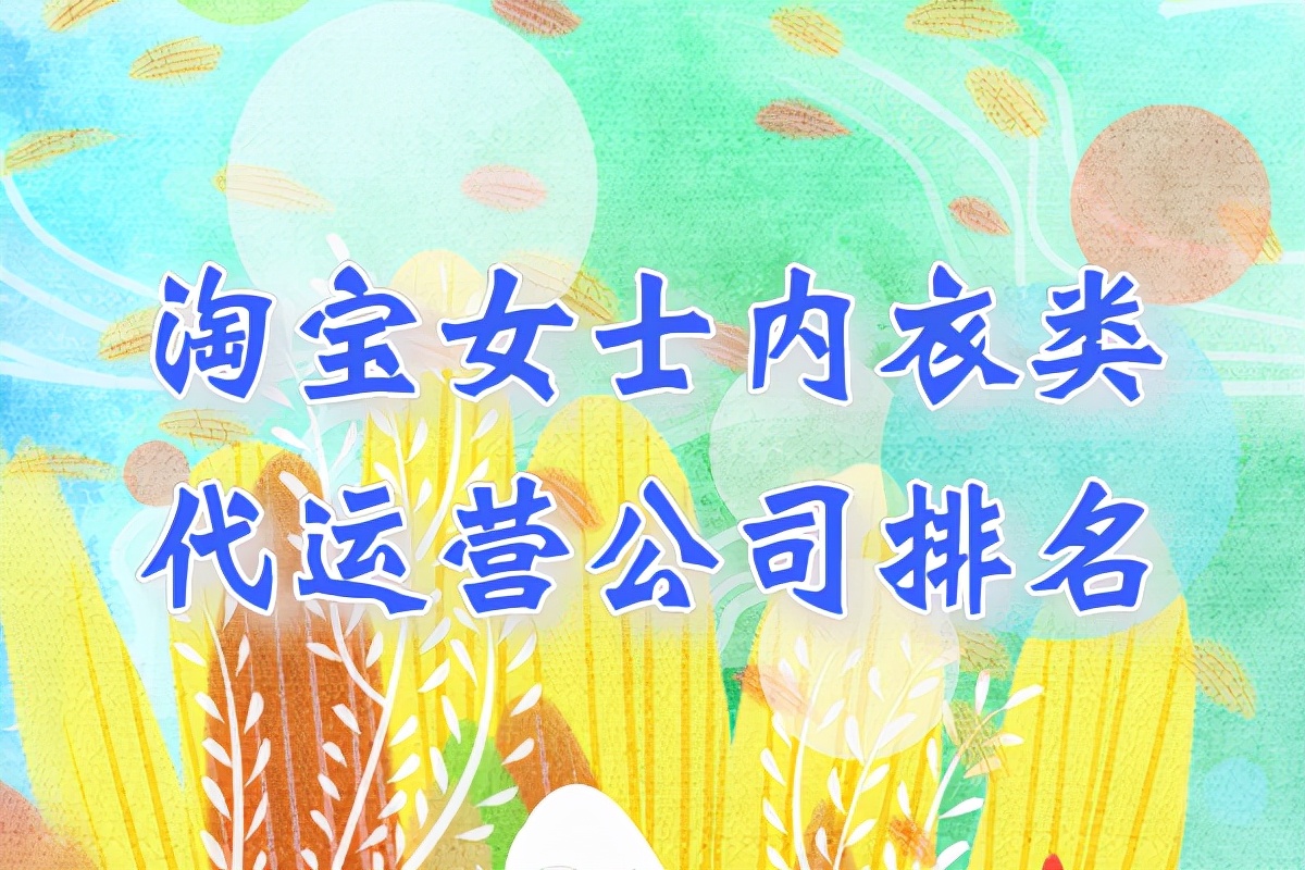 淘宝女士内衣类代运营公司排名-哪家好