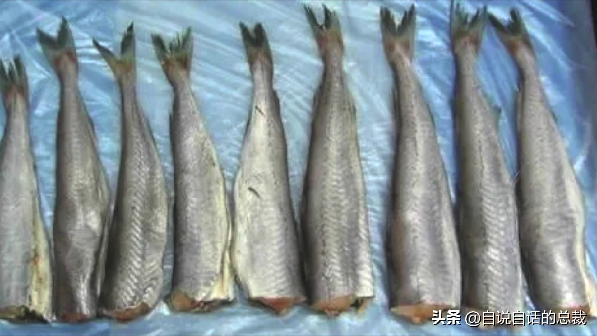 为什么买的鳕鱼段都是粘液,为什么买的鳕鱼那么多水