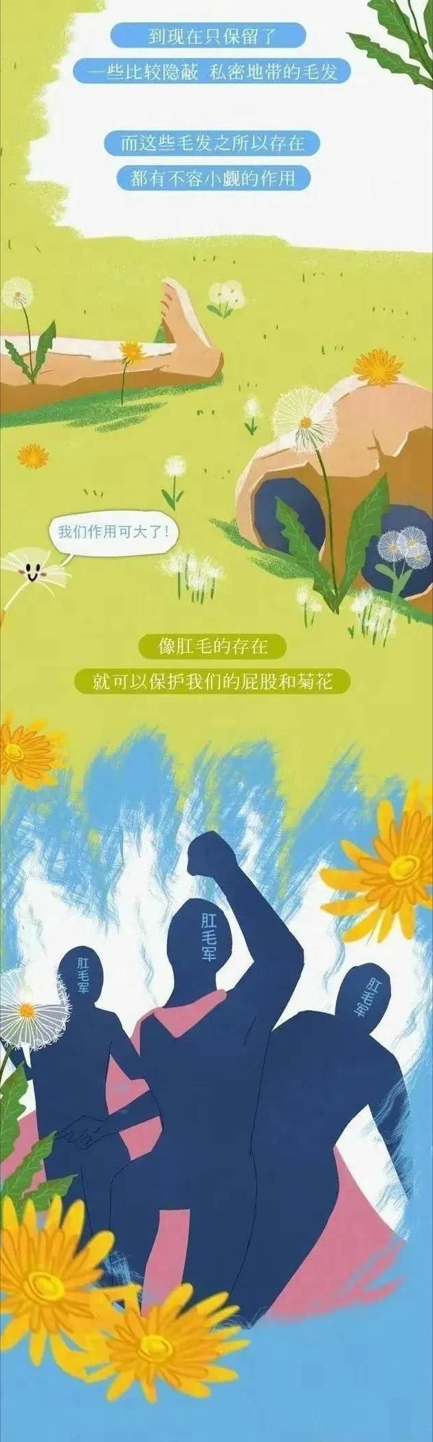 漫画科普：你的肛门周围也长“毛”吗？可以刮掉吗？
