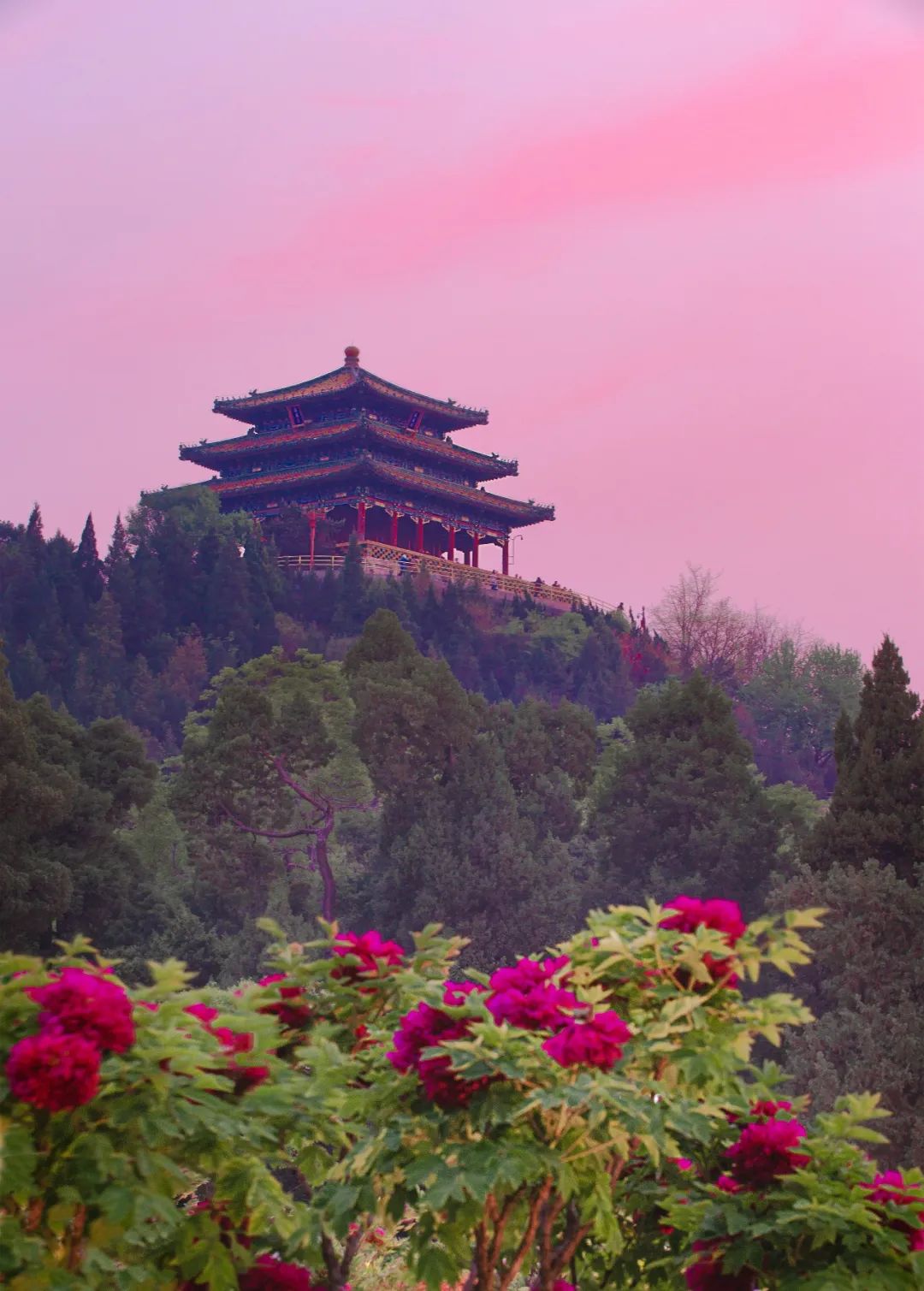 西城印象西平县,西城印象二期