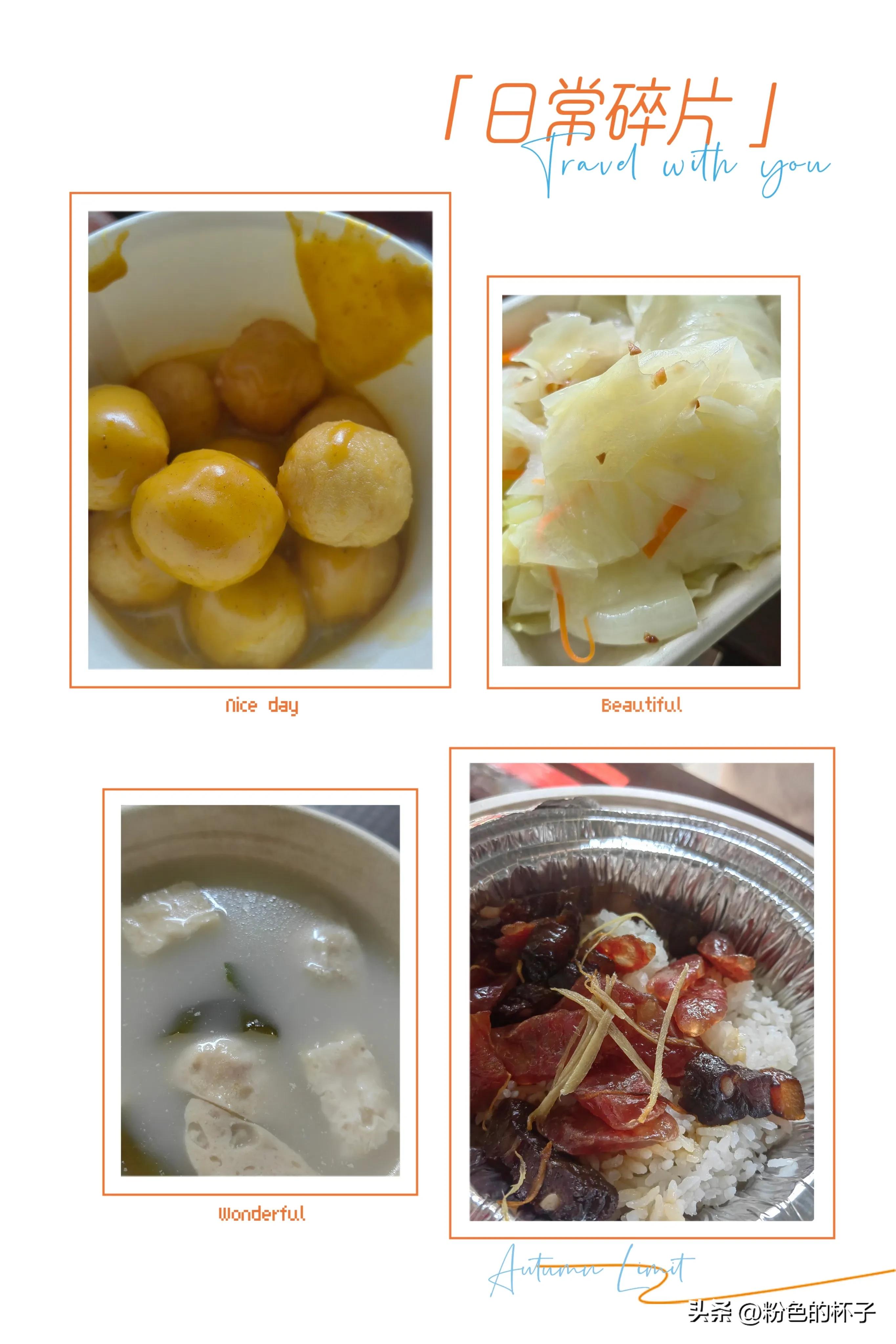 长隆野生动物园旅游攻略费用,长隆野生动物园开车进去攻略