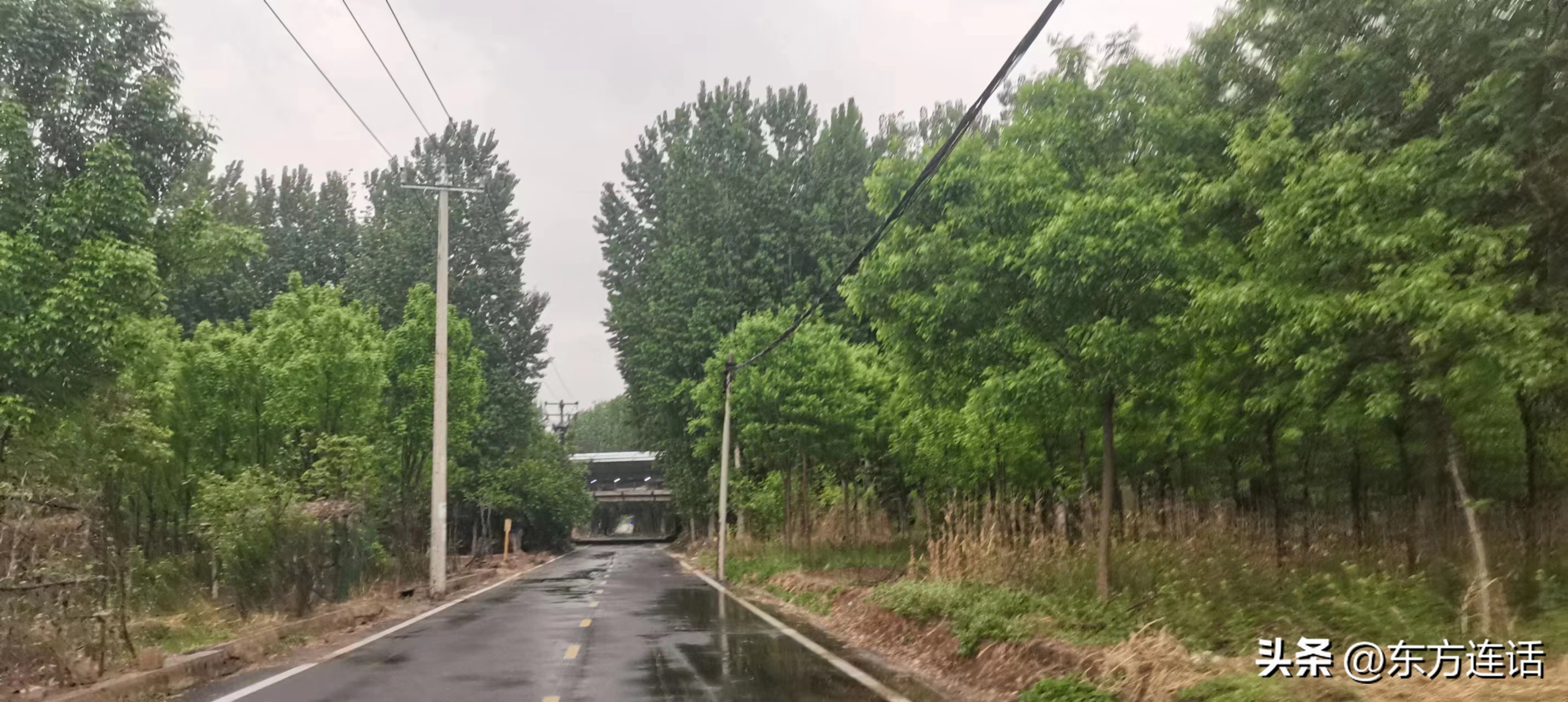 人生笔记陈霞,人生旅行日记记录美好生活