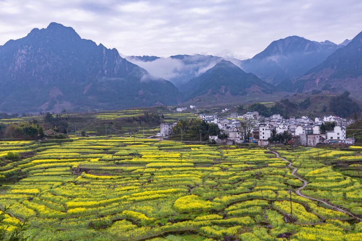 22年土地永久退出一亩补多少钱,农村土地永久退出补偿一亩多少钱