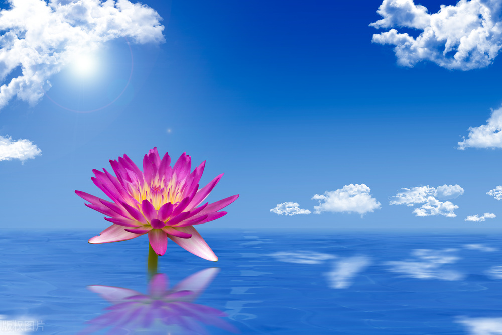 鏉ユ澂2024鍏ㄧ硸鍘诲啺濂惰尪鍥剧墖,鏉ユ澂2022鍏ㄧ硸鍘诲啺閰嶄粈涔堝浘