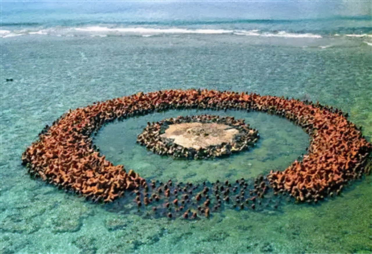 2017年中国填海造陆,中国填海造陆12座岛屿