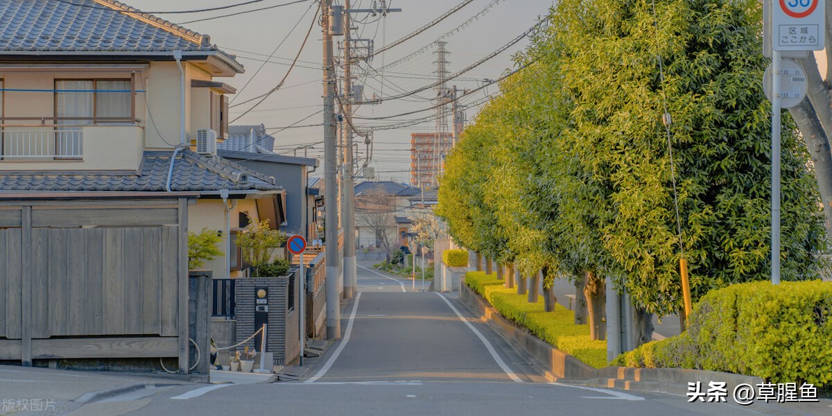 去日本旅游不要买什么地方的食物,在日本旅游必买什么吃的