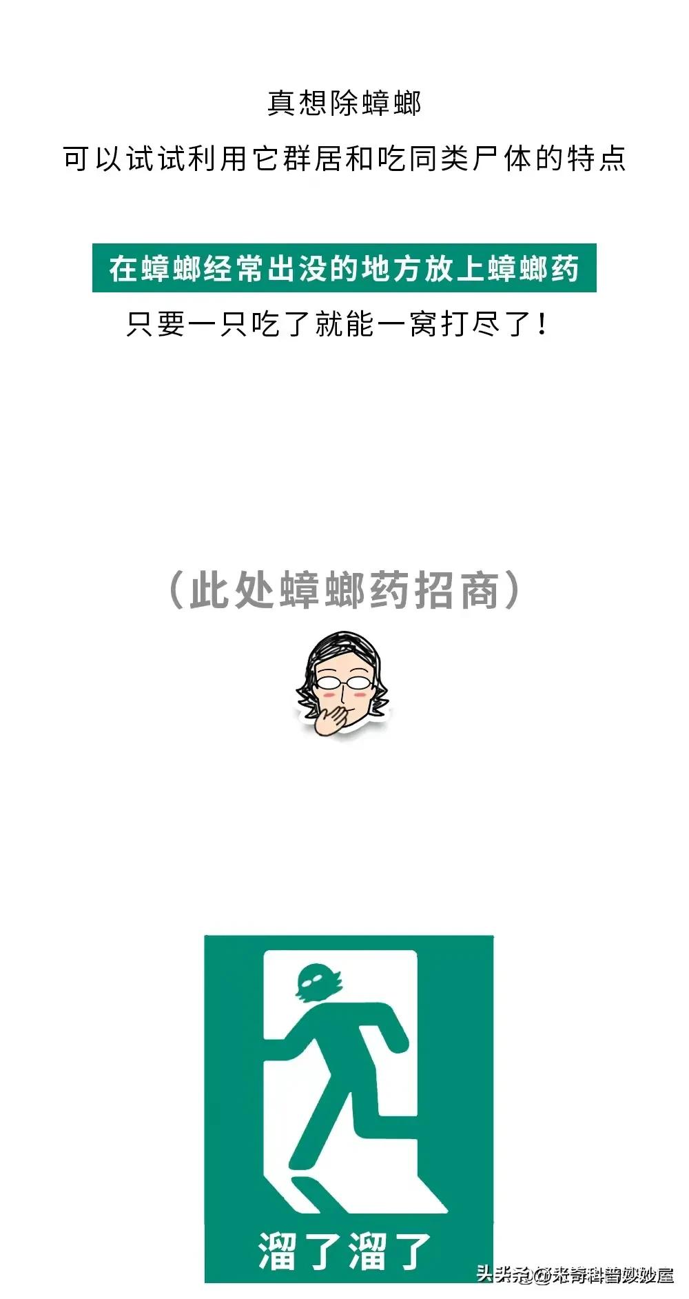 奇怪的冷知识甲虫,奇怪的冷知识火体虫