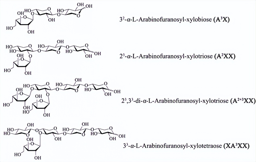 木聚糖酶对人体有什么危害,木聚糖酶在反刍动物饲料中的应用