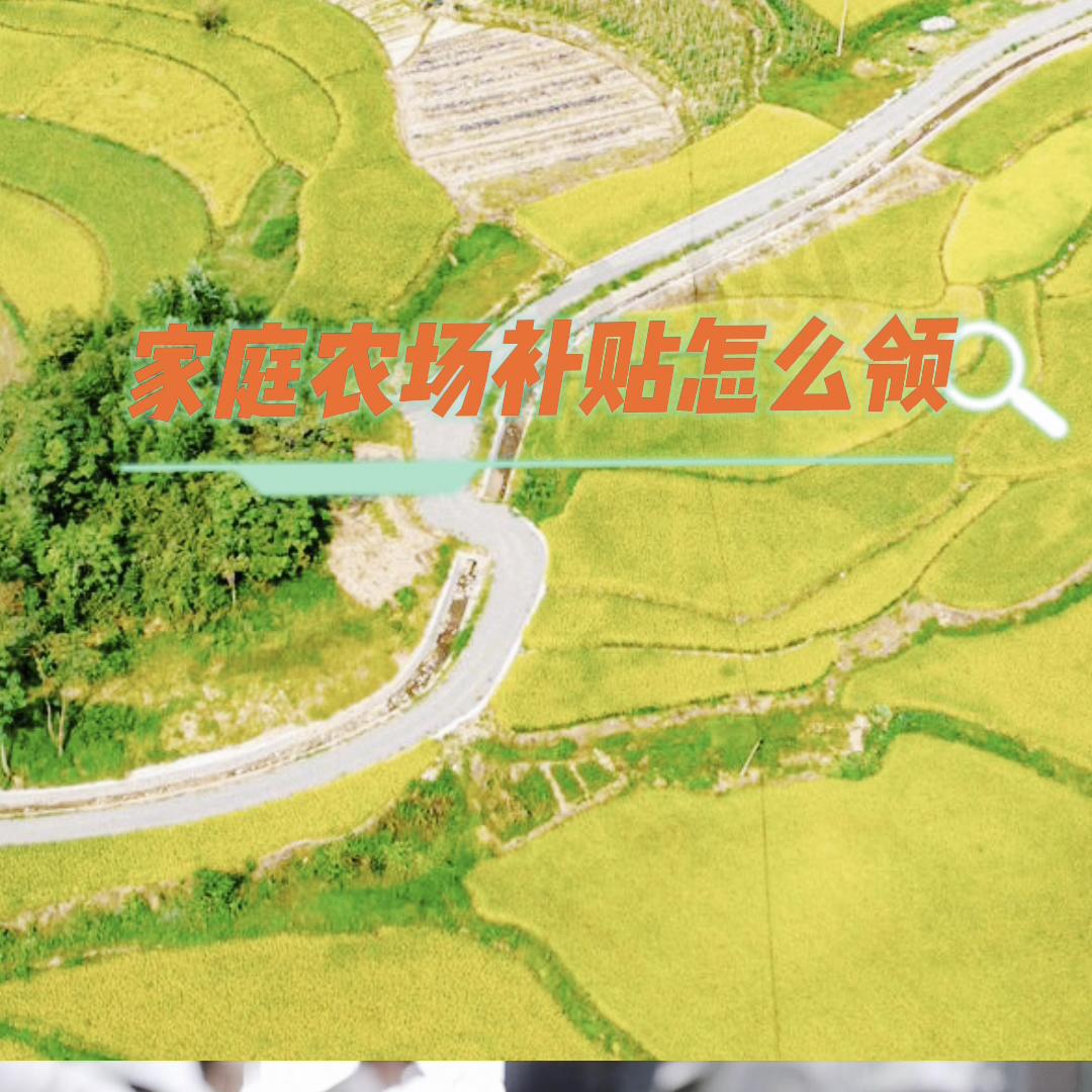 家庭农场产业扶持政策有哪些,农业农村发展家庭农场的五大原则