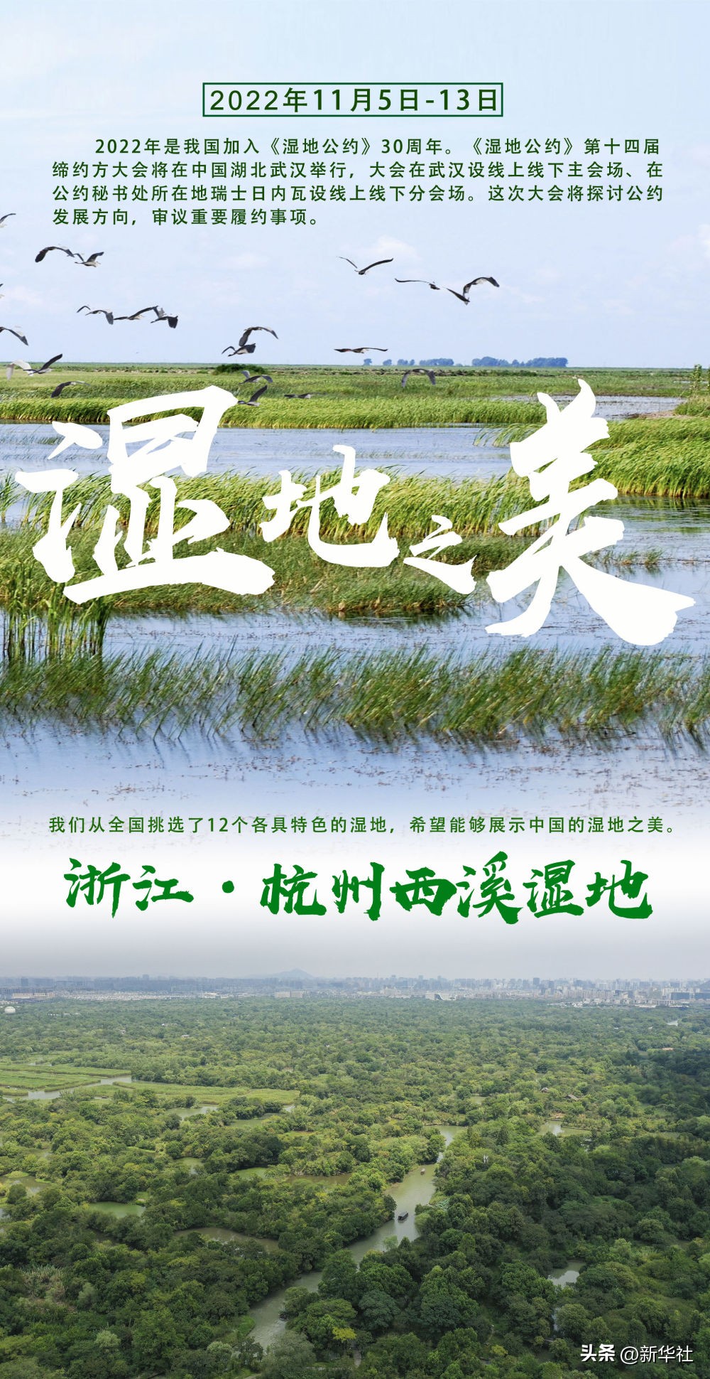 湿地之美惊艳了世界,湿地之美在什么地方