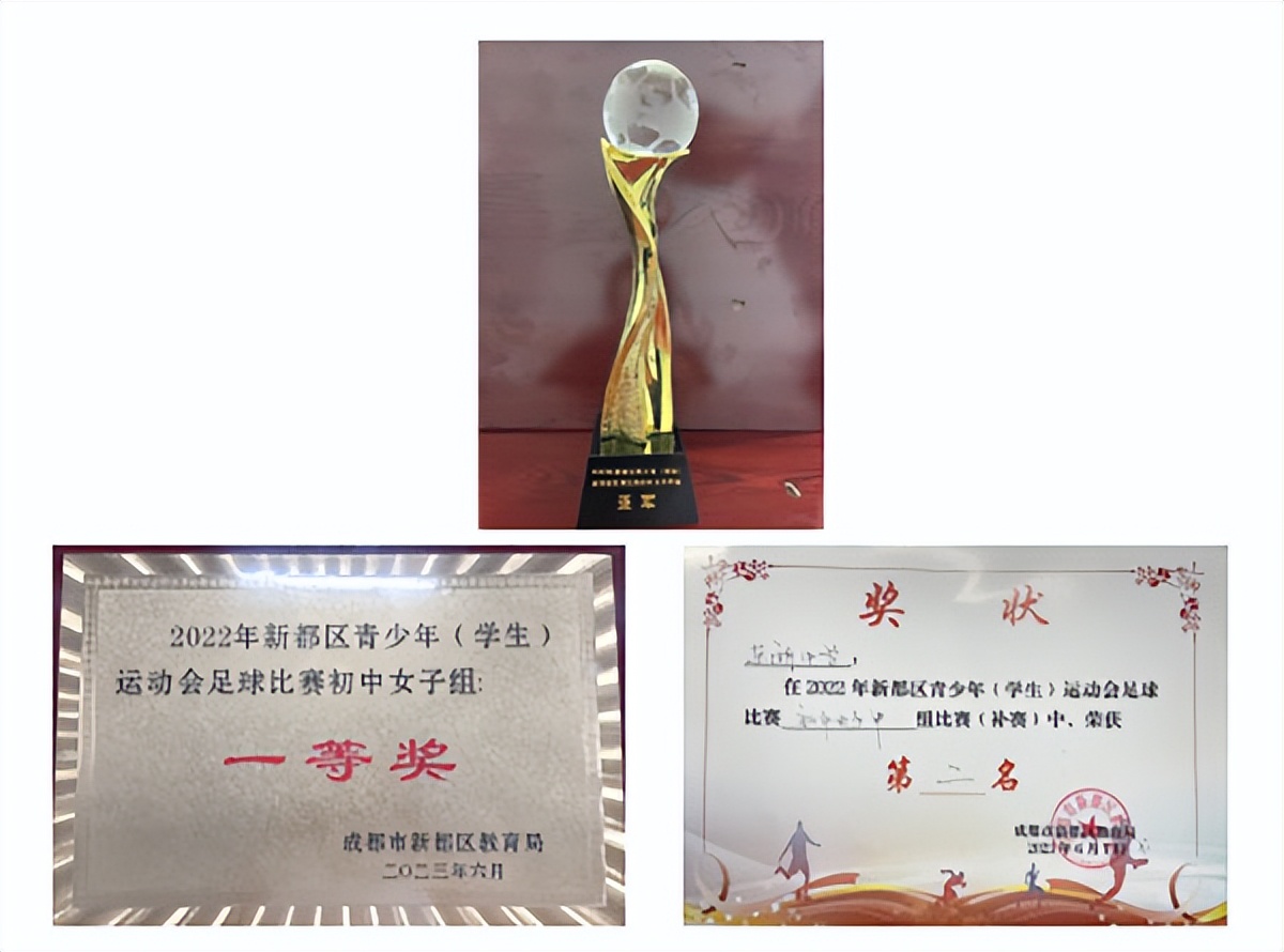 东湖中学喜报,小学女子足球队喜获亚军