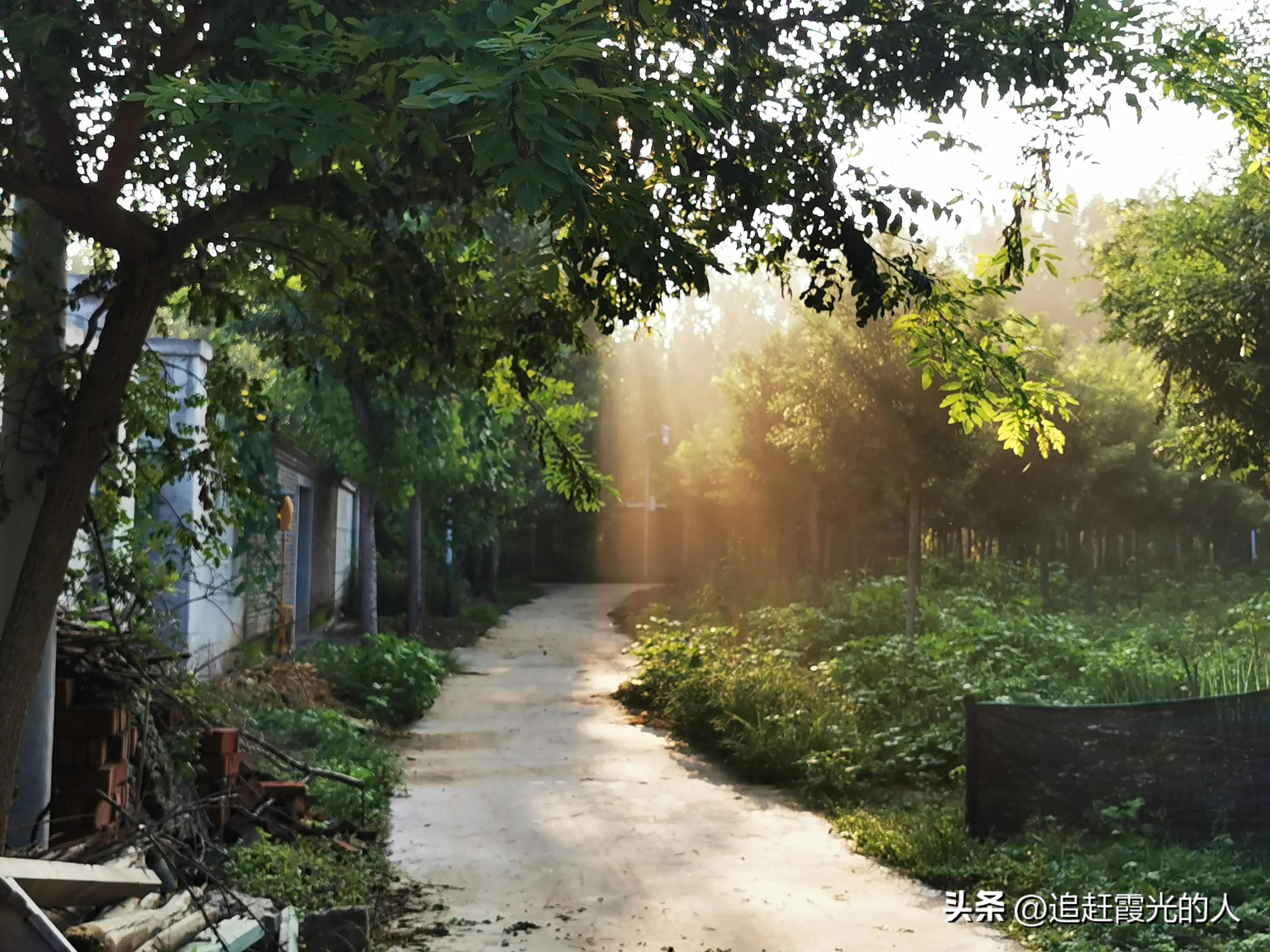 在哪里能租到北京的农家小院,北京哪里可以租农村小院