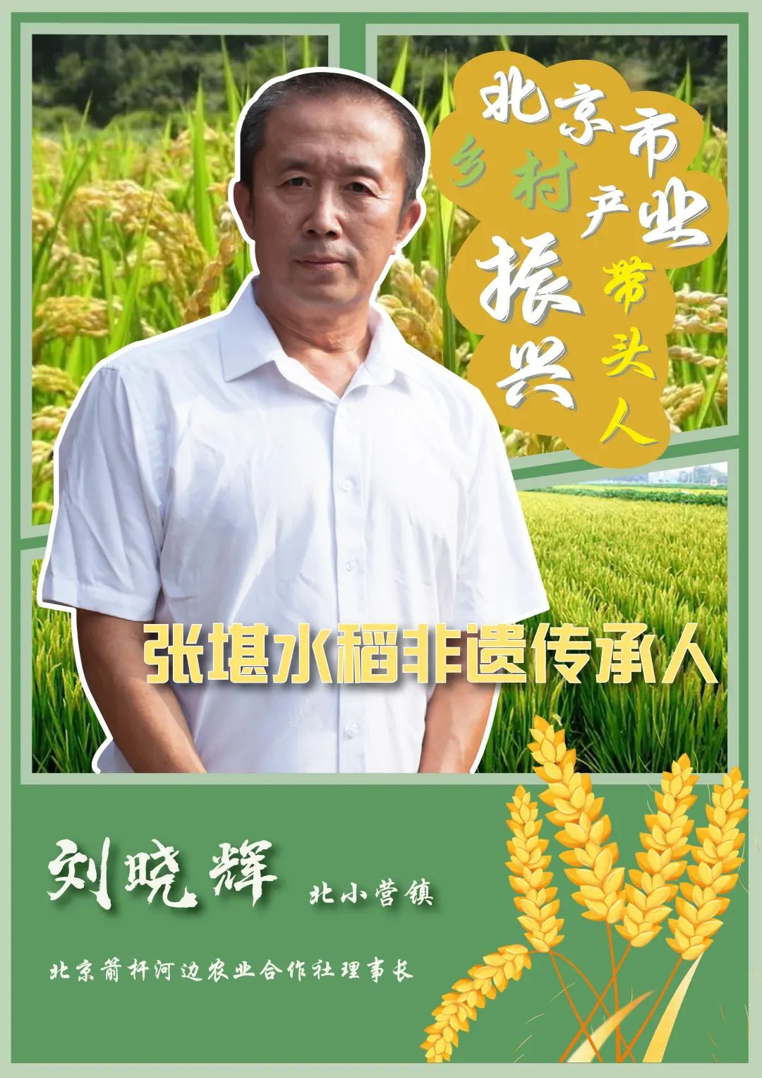 乡村产业振兴带头人头雁计划,2023年乡村振兴带头人头雁项目