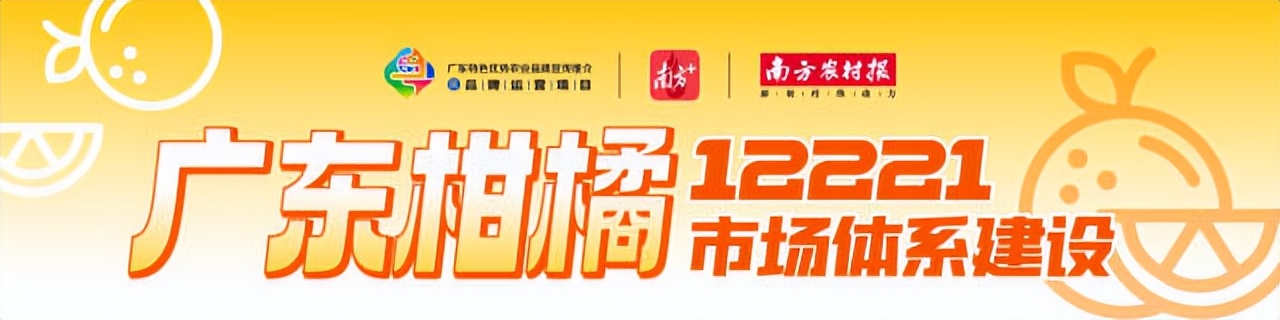 广东柑橘销售渠道,柑橘销售省份市场