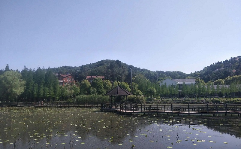 南京遛娃免费景点有哪些,南京免费景点一日游攻略