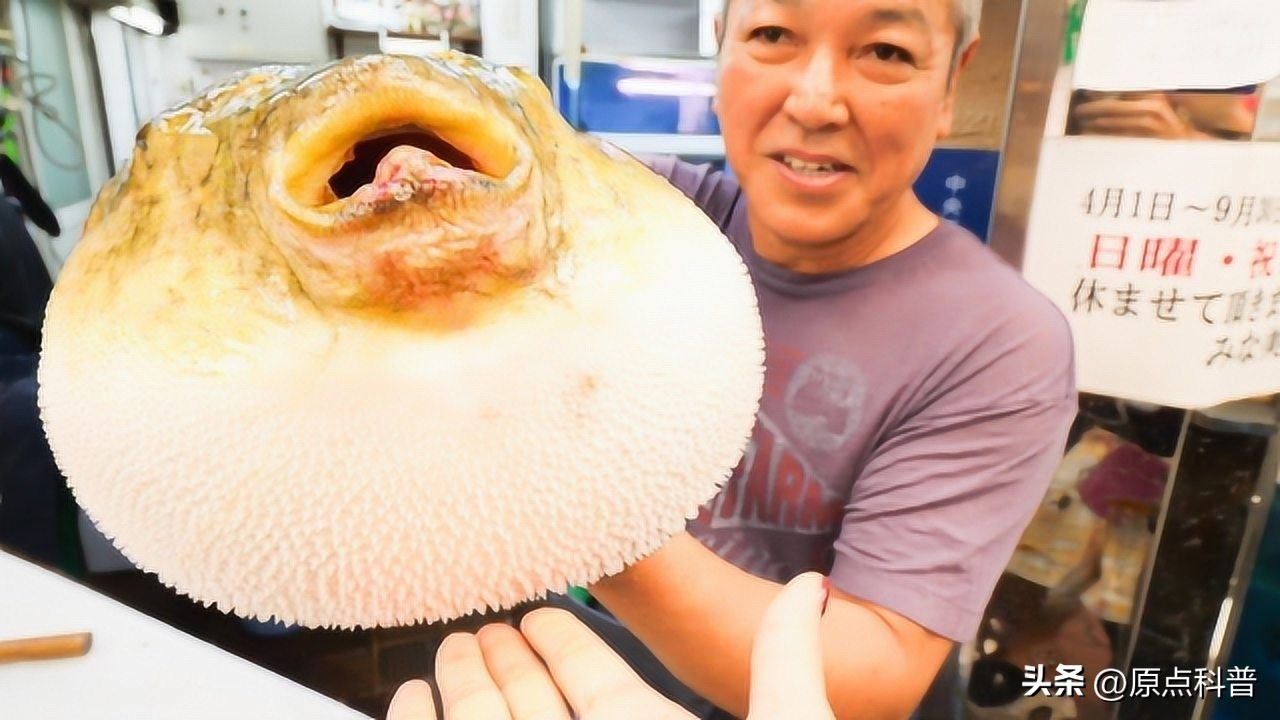 日本100种奇葩美食,日本八大奇葩美食