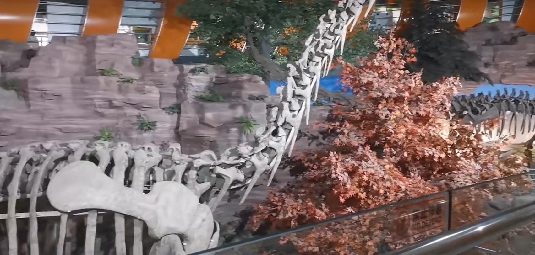 郑州室内旅游攻略必去景点,郑州景点室内游玩攻略