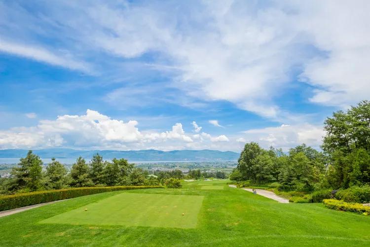 绿草自然风景图片,惊艳高清山水花草风景图片