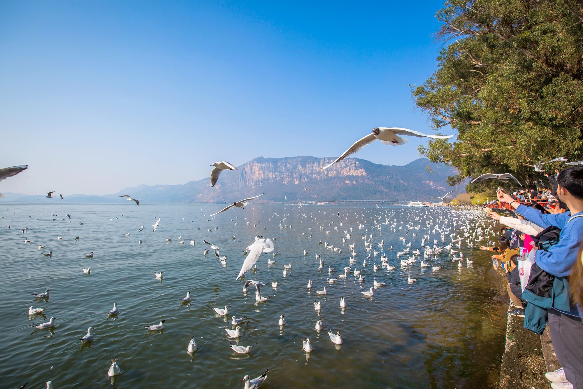 昆明滇池海埂公园有什么好玩的,昆明滇池海埂公园有没有沙滩