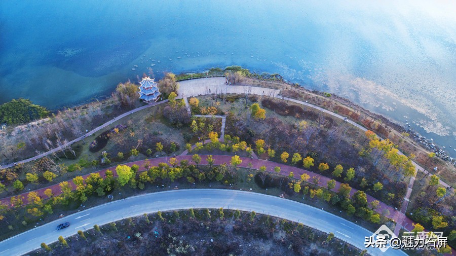 早安•云南|“保山之眼”青华海，候鸟翩跹“湿”情画意