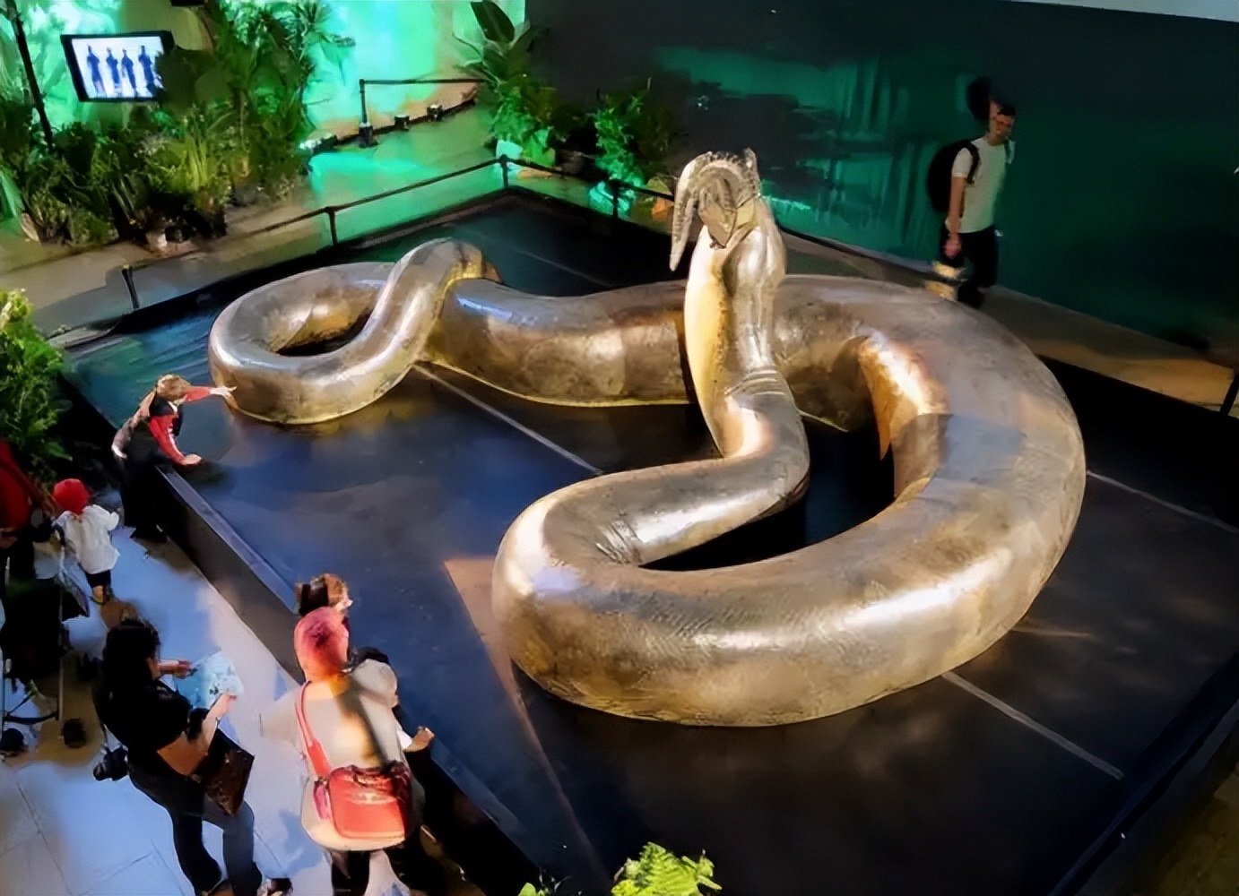 蛟龙的蛟是真的存在的吗,蛟龙发现什么生物