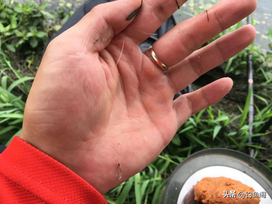 新手野钓怎么选鱼线最好,野钓鱼线怎么选择