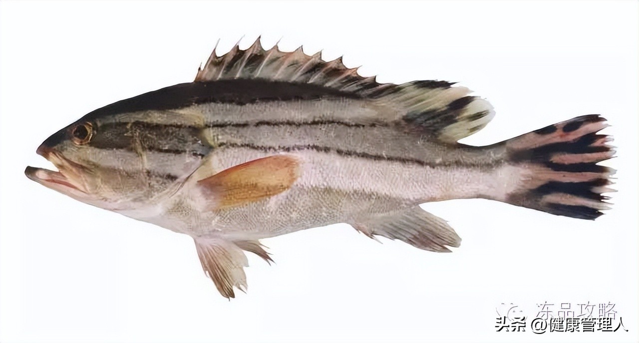 美容护肤食疗方案,美容护肤养生介绍