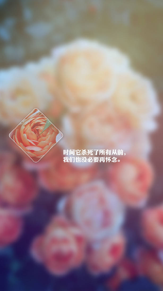 最新文案短句干净治愈心情加配图,朋友圈文案短句干净配图