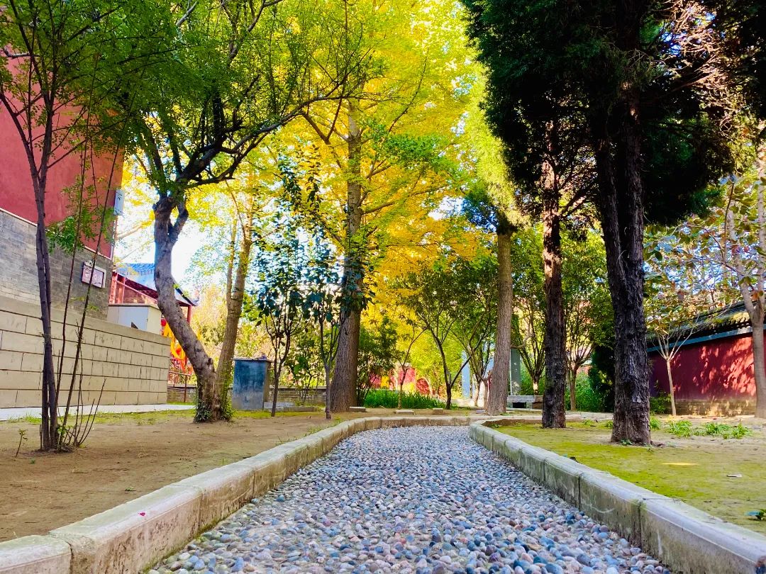 看赵云庙感受,赵云庙景区简介图片欣赏