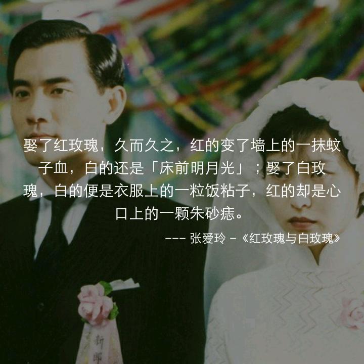 单身狗必看！玫瑰相关知识汇总！520网络情人节助你脱单