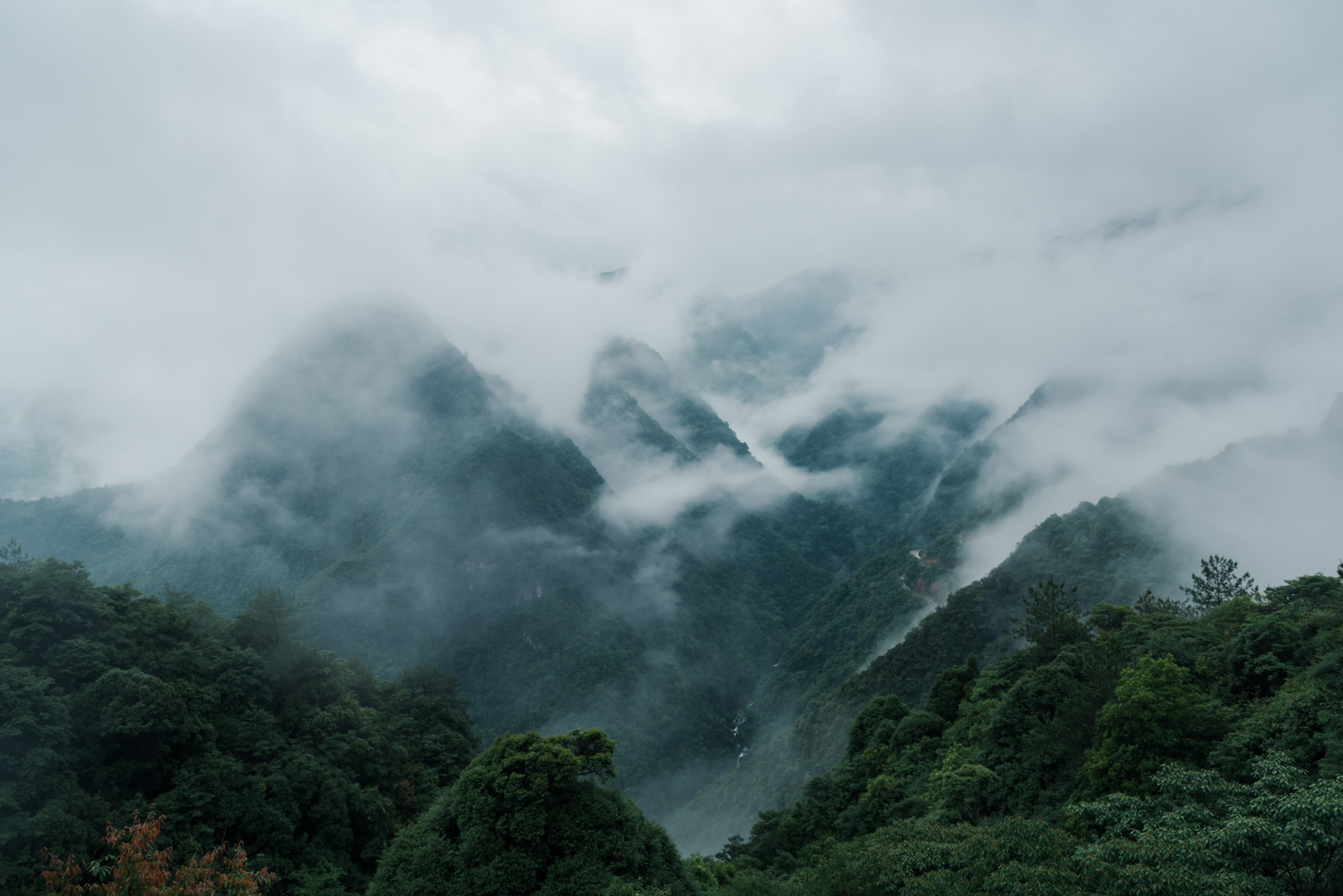 丽水遂昌旅游攻略一天游 (丽水遂昌被称旅游胜地)
